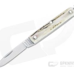 Great Eastern Cutlery #05 PPP Keychain Knife Pen Blade Sambar Stag Slip Joint Folder 052121-SS-22